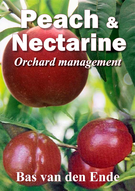 Peach-Nectarine-orchard-Mngt.jpg