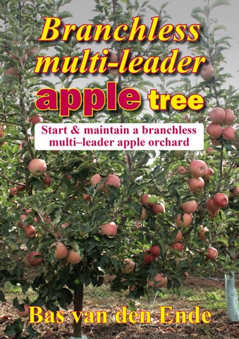 Branchless multi-leader apple tree manual