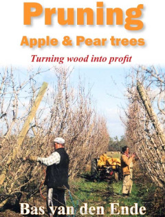 Pear and apple pruning